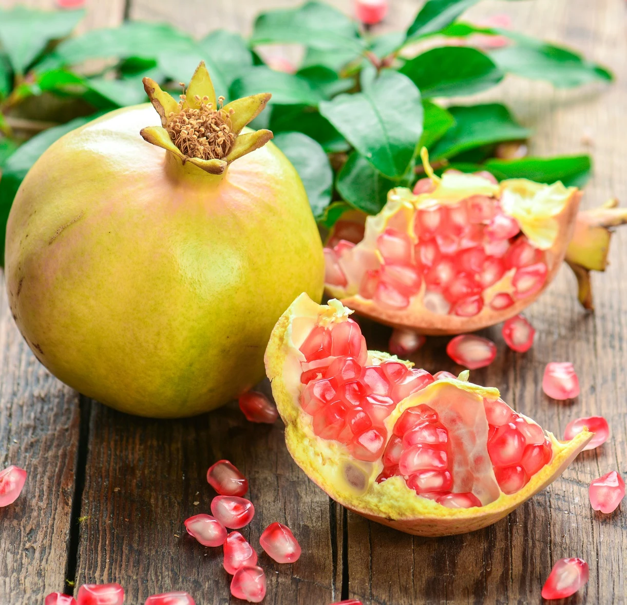 Granatapfel `Haku Botan´ Punica Granatum 3 Granatapfel `Haku Botan´ Punica Granatum