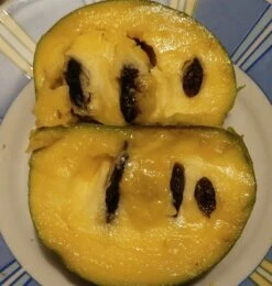 Veredelte Indianerbanane (Paw Paw) `Shenandoah®´ Asimina Triloba `Shenandoah´ 9 Veredelte Indianerbanane (Paw Paw) `Shenandoah®´ Asimina Triloba `Shenandoah´ -Pflanzenladen Indianerbanane von Innen5a0476156796c