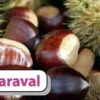 Esskastanie `Maraval´ Castanea Sativa `Maraval´ 2 Esskastanie `Maraval´ Castanea Sativa `Maraval´ -Pflanzenladen Maraval