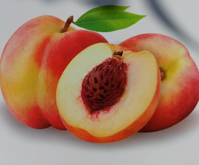 Pfirsich `Suncrest´ Prunus Persica `Suncrest´ 3 Pfirsich `Suncrest´ Prunus Persica `Suncrest´