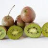 Großfrüchtige Bayern-Kiwi `Pink Jumbo´ Actinidia Arguta `Pink Jumbo´ -Pflanzenladen Pink Jumbo1
