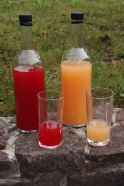 Rosette® Malus Domestica 10 Rosette® Malus Domestica -Pflanzenladen Rosette Saft