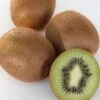 Kiwi `Solissimo´® Actinidia Deliciosa