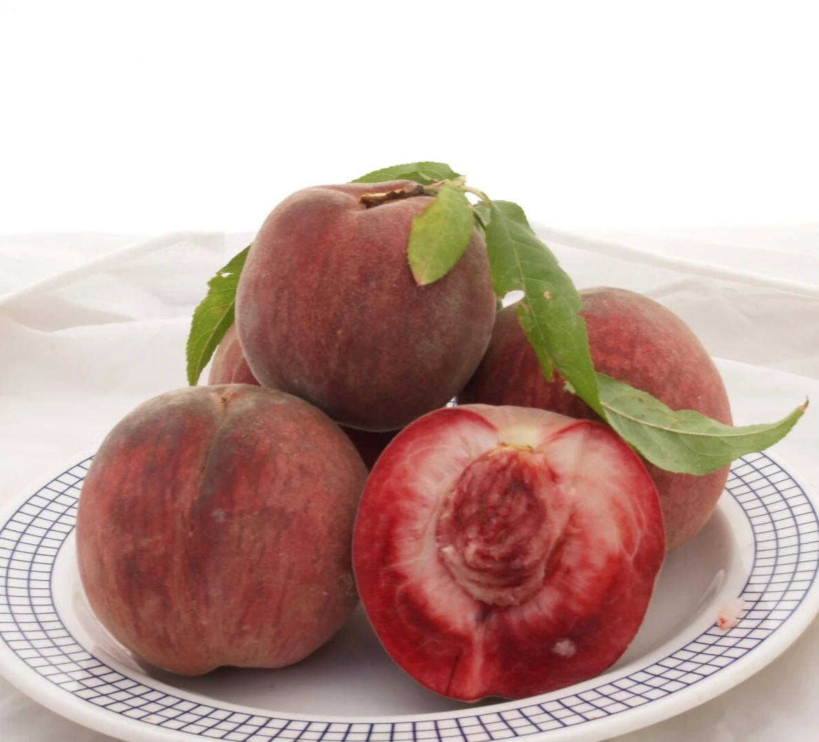 Säulen-Pfirsich `Ellora´ Prunus Persica `Ellora´ 3 Säulen-Pfirsich `Ellora´ Prunus Persica `Ellora´