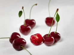 Achat Ⓢ Prunus Cerasus `Achat´ 13 Achat Ⓢ Prunus Cerasus `Achat´ -Pflanzenladen sauerkirsche achat ggmc5Q8G1QL1D9