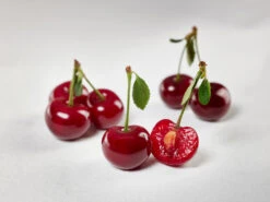 Safir ® Prunus Cerasus `Safir´ -Pflanzenladen sauerkirsche safir glCz99JjQsQ3RC